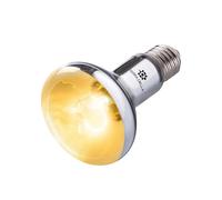 Lampe pour terrarium Terra Della SunBeam UVB Argenté 100 W
