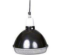 Lampe réflecteur à pince avec la grille de sécurité 250 w. pour reptiles. G