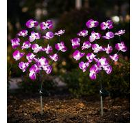 Lampe Solaire Lampe De Jardin Orchidée Pic En Terre Ensemble De 2 H 75 CM