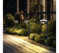 Lampe solaire noire lampe solaire de jardin enfichable, éclairage haut vers le bas, 13x LED blanc chaud, DxH 11x45 cm, lot de 3