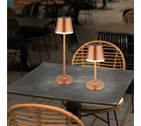 Lampe Solaire Extérieur de Table Balcon Champagne Intempéries LED Hauteur 41 CM