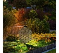 Lampe Solaire Extérieure Ampoule à Enficher de Jardin Pointe Anneau Fleur Argent