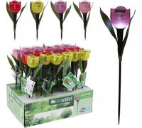Lampe solaire tulipe colorée 30cm, éclairage LED de jardin, étanche & écologique
