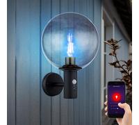 Applique murale d'extérieur Applique LED avec détecteur de mouvement applique murale acier inoxydable boule de verre anthracite fumée, contrôle app CCT, Smart RGB LED 8,5W 806Lm, LxPxH 26,5x25x37 cm