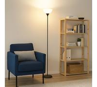 Lampadaire Plafonnier opalin Lampadaire couleur titane Lampe de salon, métal, 1x douille E27, DxH 25x178,5 cm
