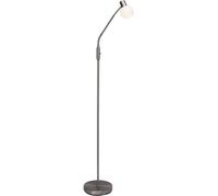 Lampe sur pied E14 Brilliant Philo 4.00 W avec interrupteur fer