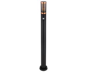 Lampe sur pied Éclairage extérieur Lampadaire avec détecteur de mouvement Jardin Acier inoxydable, commande par app, 1x Smart RGB LED 10W 806Lm, DxH 7,6x110 cm