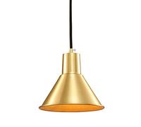 Lampe Suspendue à tête Unique, Style Nordique, Moderne et Minimaliste, idéale pour Un Bar, Une Chambre à Coucher, Un Couloir, Une allée, Une entrée, Une Salle d'étude ou Une lumière Blanche