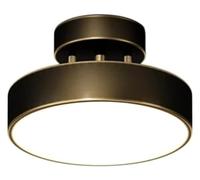 Lampe Suspendue, Applique Laiton Brossé Plafonnier Semi Encastré Plafonnier Luminaire 3 Couleurs Dimmable Plafond Lustre Entrée Couloir Plafond Luminaire(Dark)