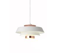Lampe Suspendue en Fer à Une tête, Style Industriel, personnalité créative, luminaires de Plafond à Base E27, luminaire décoratif pour Salle d'exposition, Salle de conférence