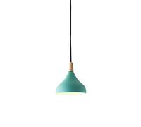 Lampe Suspendue en Fer forgé, Design Moderne et Simple, luminaire décoratif d'intérieur, culot E27, idéal pour Un Salon ou Une Chambre (Vert).