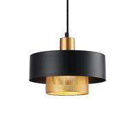Lampe Suspendue en métal à Une tête, Style Industriel, personnalité créative, Source Lumineuse E27, luminaire décoratif pour Bar, Salon de Coiffure, Bureau (foncé 30 cm)