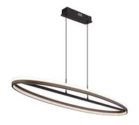 Lampe suspendue lampe de table à manger ovale cristaux gris clairs CCT LED H 150 cm