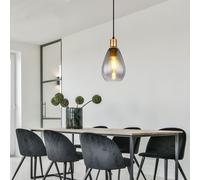 Lampe Suspendue Lumière pour Salle à Manger Luminaire Chambre Glas Fumée E27 Dxh