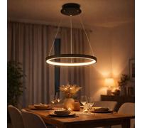 Lampe Suspendue Lustre Éclairage/Lampe de Salon en Forme D'Anneau Noir 1 Flammes