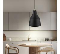 Lampe Suspendue Lustre Lampe Salle à Manger Plafonnier Noir 1 à Flammes D 25 CM