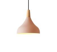 Lampe Suspendue Moderne élégante à 1 lumière Creuse, élégant de Ferme avec Cordon réglable, plafonnier à tête Unique pour Restaurants, Barre Lumineuse de Bureau