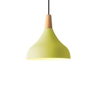 Lampe Suspendue Moderne élégante à 1 lumière Creuse, élégant de Ferme avec Cordon réglable, plafonnier à tête Unique pour Restaurants, Barre Lumineuse de Bureau