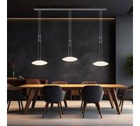 Lampe Suspendue Pendentif Lumière Noir LED Réglable en Hauteur Dimmable 3000K