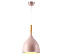 Lampe suspendue scandinave, lustre coloré macaron, lampe suspendue à 1 tête en aluminium mat, lumières à suspendre simples et créatives, vitrine de restaurant, ferme, café, bar, salon LAN présent