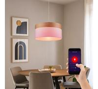 Lampe Suspension Smart Dimmable LED Lampe de Salon Bois RGB D 40 CM