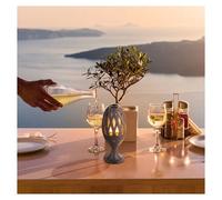 Lampe-torche led de jardin effet flamme