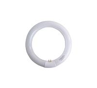 Lampe tube Fluorescent T9 circulaire 40 W