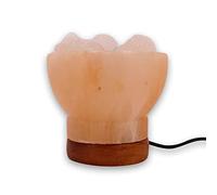 Lampe USB Sel de l'Himalaya - Bol - Lampe de Bureau avec Socle en Bois et LED Multicolore