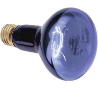 Lampe UV E27 Omnilux R80 230V 112 mm