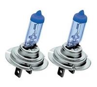 Lampes Philips Master Duty Blue Vision H7 G