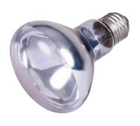 Trixie Ampoule chauffante en néodyme 100W