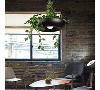 Lampes suspendues simples modernes, suspension végétale, suspension nordique for îlot de cuisine, salle à manger (Color : Black)