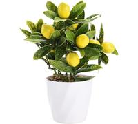Lamppdcor Citronnier Artificiel de 8, 8 Pouces, Faux-Sombres en Pot avec des Citrons Jaunes pour la décoration intérieure