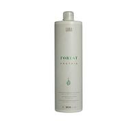 Lana Brasiles Traitement lissant Forest Protein pour cheveux afro - Brillance intense et lisse - 1000 ml