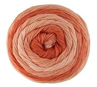 LANA GROSSA Gomitolo Tono - Laine dans un dégradé discret de couleurs fruitées - 100 % coton (bio) - 100 g de laine pour tricot et crochet - 360 m - FB 1035