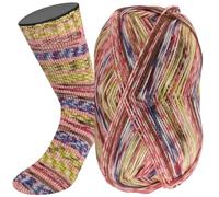 Lana Grossa MEILENWEIT Carezza Laine pour chaussettes 4 brins de qualité supérieure 100 g 420 m Couleur : 4448 - Erika/bordeaux/crème/bleu clair/bleu gris/kiwi/olive/marron gris