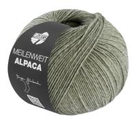 LANA GROSSA Meilenweit FB1018 Alpaga 6 brins | Fil à chaussettes doux et douillet lavable en machine | Fil à tricoter à la main en 50 % alpaga, 20 % laine vierge et 30 % polyamide | 150 g de laine