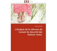 L''analyse De La Réforme Du Conseil De Sécurité Des Nations Unies.