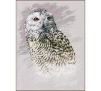 LANARTE Point De Croix Compté Kit Tableau Complet Set Chouette ENNEIGÉE De Broderie Loisir Créatif Maison Decoration Cadeau DIY ca. 29 x 38 cm Counted Cross Stitch Embroidery, Cotton, Multicolore