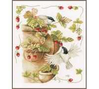 Lanarte Point De Croix Compté Tableau Kit Complet DIY Broderie Motif FRAISES ET OISEAUXPatron Adulte Art Creatif Decoration Salon Activité Manuelle Cadeau ca. 30 x 33 cm Counted Cross Stitch