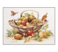 Lanarte Point De Croix Compté Tableau Kit Complet DIY Broderie Motif FRUITS D'ÉTÉPatron Adulte Art Creatif Decoration Salon Activité Manuelle Cadeau ca. 39 x 29 cm Counted Cross Stitch