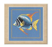 LANARTE Point De Croix Compté Tableau Kit Complet DIY Broderie Motif POISSON ZÈBRE DE FEUPatron Adulte Art Creatif Decoration Salon Activité Manuelle Cadeau ca. 21 x 20 cm Counted Cross Stitch