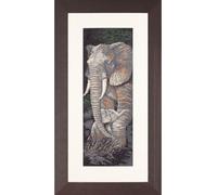 Lanarte Point de Croix Set "Animaux Protection Evenwaeve", modèle à compter, 17x50cm