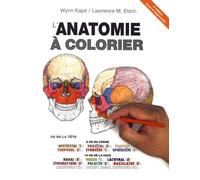 L'anatomie À Colorier