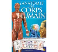 L'Anatomie du Corps Humain 24 Grandes Planches Illustrées - Publication Dreamland - Macro - broché - Guide