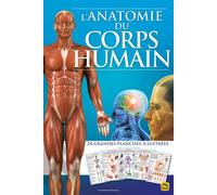 L'anatomie du corps humain: 24 grandes planches illutrées