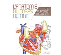 L'anatomie du corps humain en 25 planches à colorier