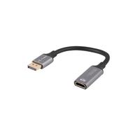 Lanberg AD-DP-HD-02 câble vidéo et adaptateur 0,2 m DisplayPort HDMI Argent