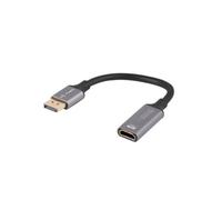 Lanberg AD-DP-HD-04 câble vidéo et adaptateur 0,2 m DisplayPort HDMI Argent, Noir