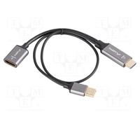 LANBERG AD-HD-DP-02 Adaptateur